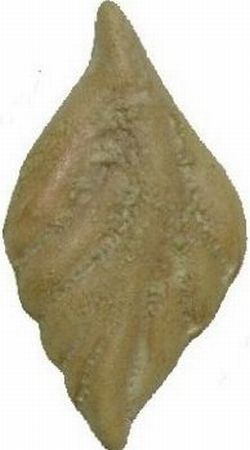 4001 Köpüklü Yeşil