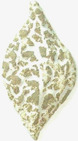 7034 Kabartma Bej Krakle