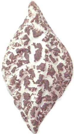 7035 Kabartma Violet Krakle