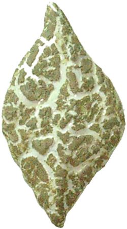 7036 Kabartma Nefti Krakle