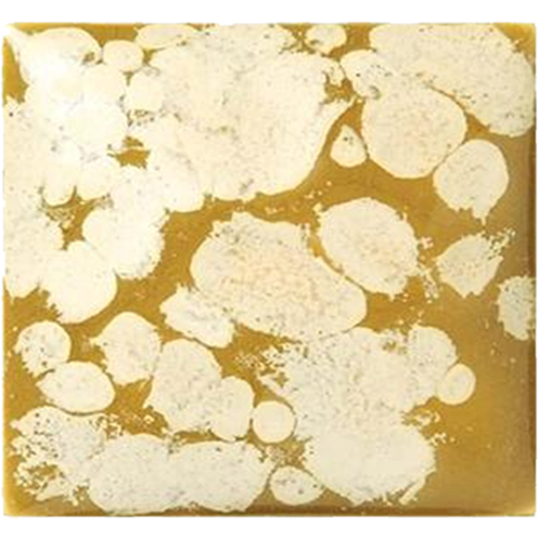 CR 857 Alpine Meadow