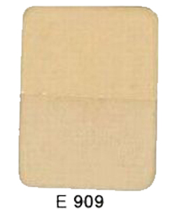 E909