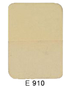 E910