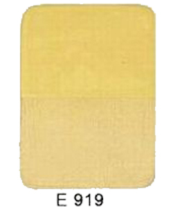 E919