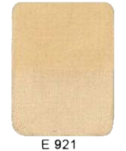 E921