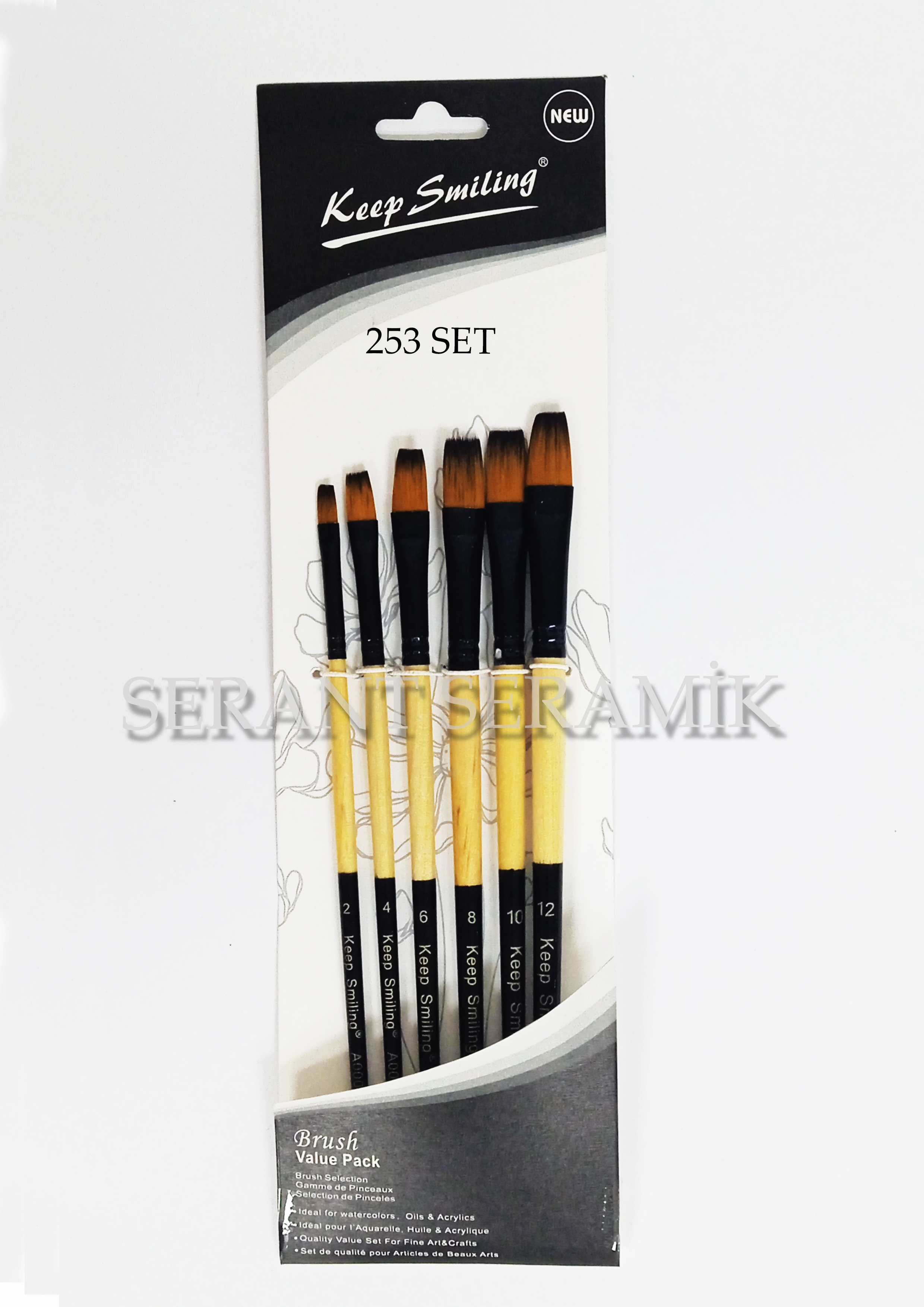 253 Fırça Seti